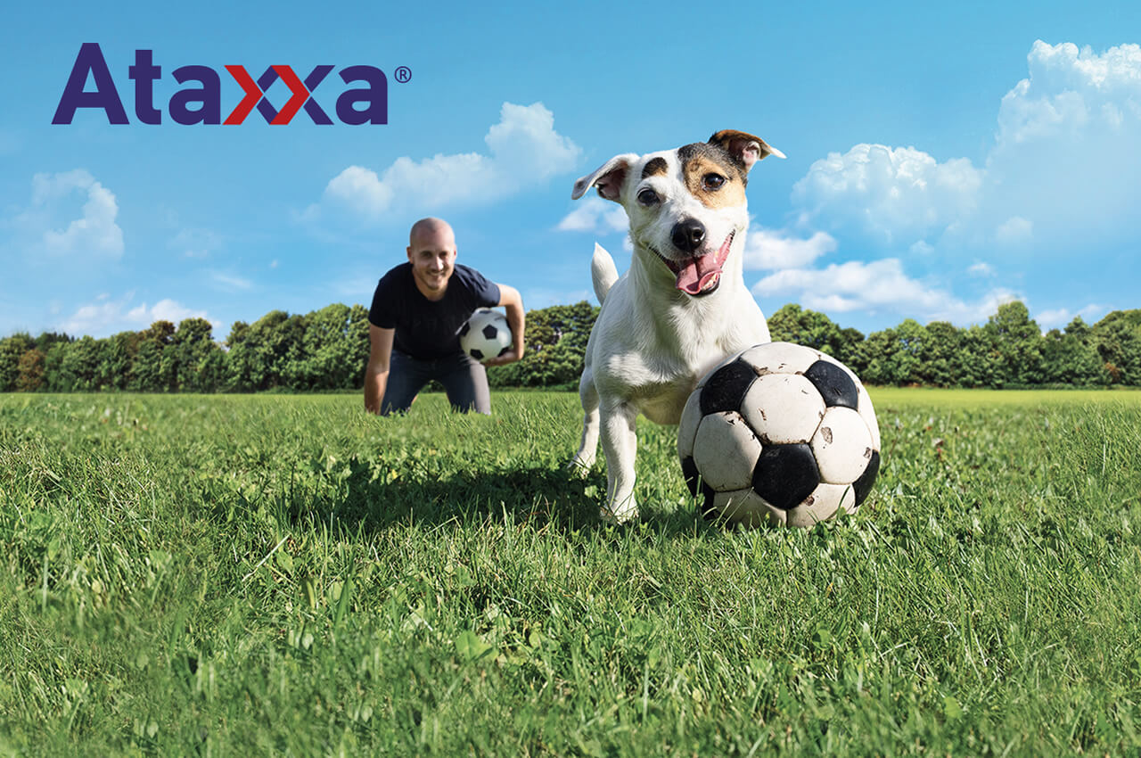 Ataxxa