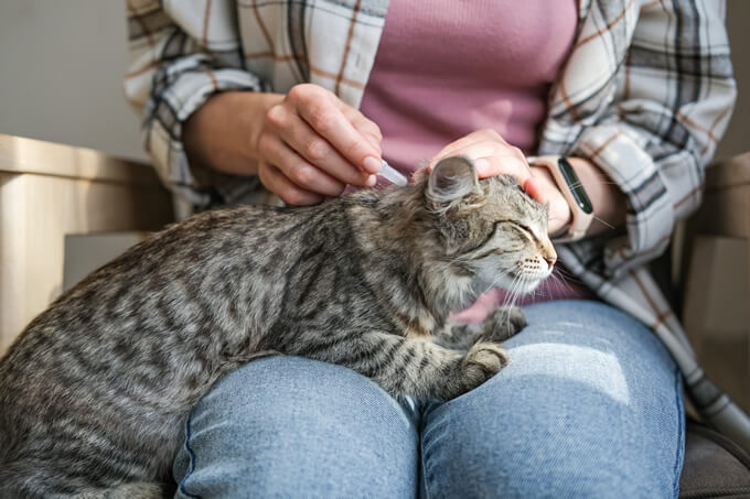 Kako zdravilo uporabljamo?