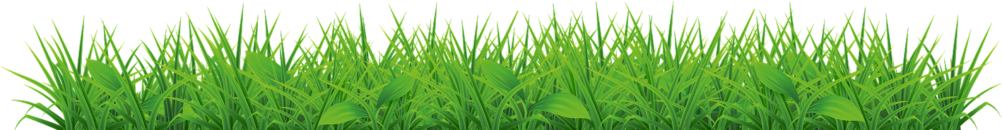 Celostna zaščita vaše mačke