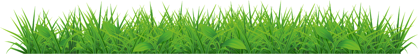 Celostna zaščita za vašega psa