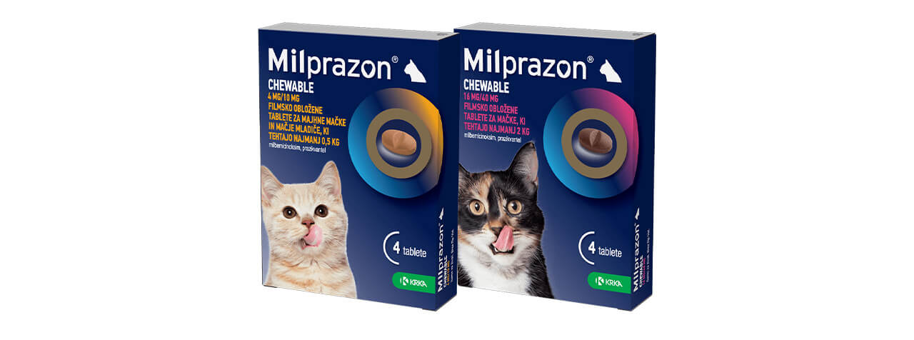 Milprazon Chewable