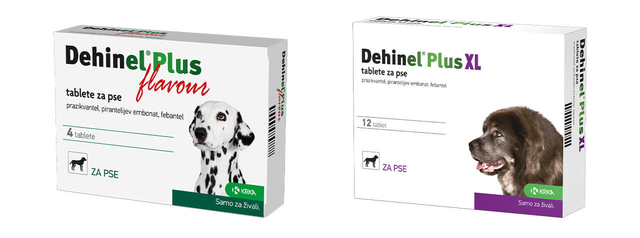 mt-48px Dehinel plus