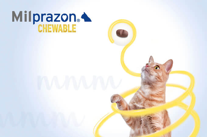 Milprazon Chewable