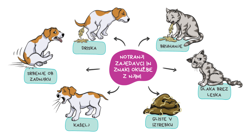 Kako vemo, ali ima naš ljubljenček notranje zajedavce?