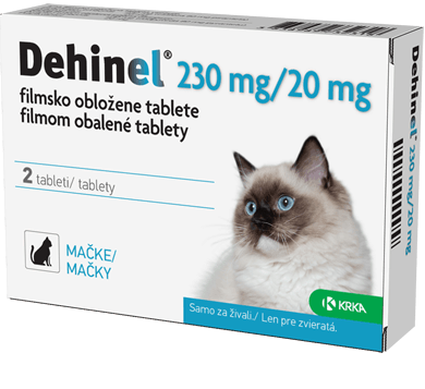 Dehinel